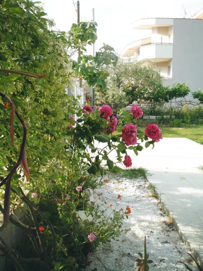 Port Rooms Limenas (Thasos) Exterior foto