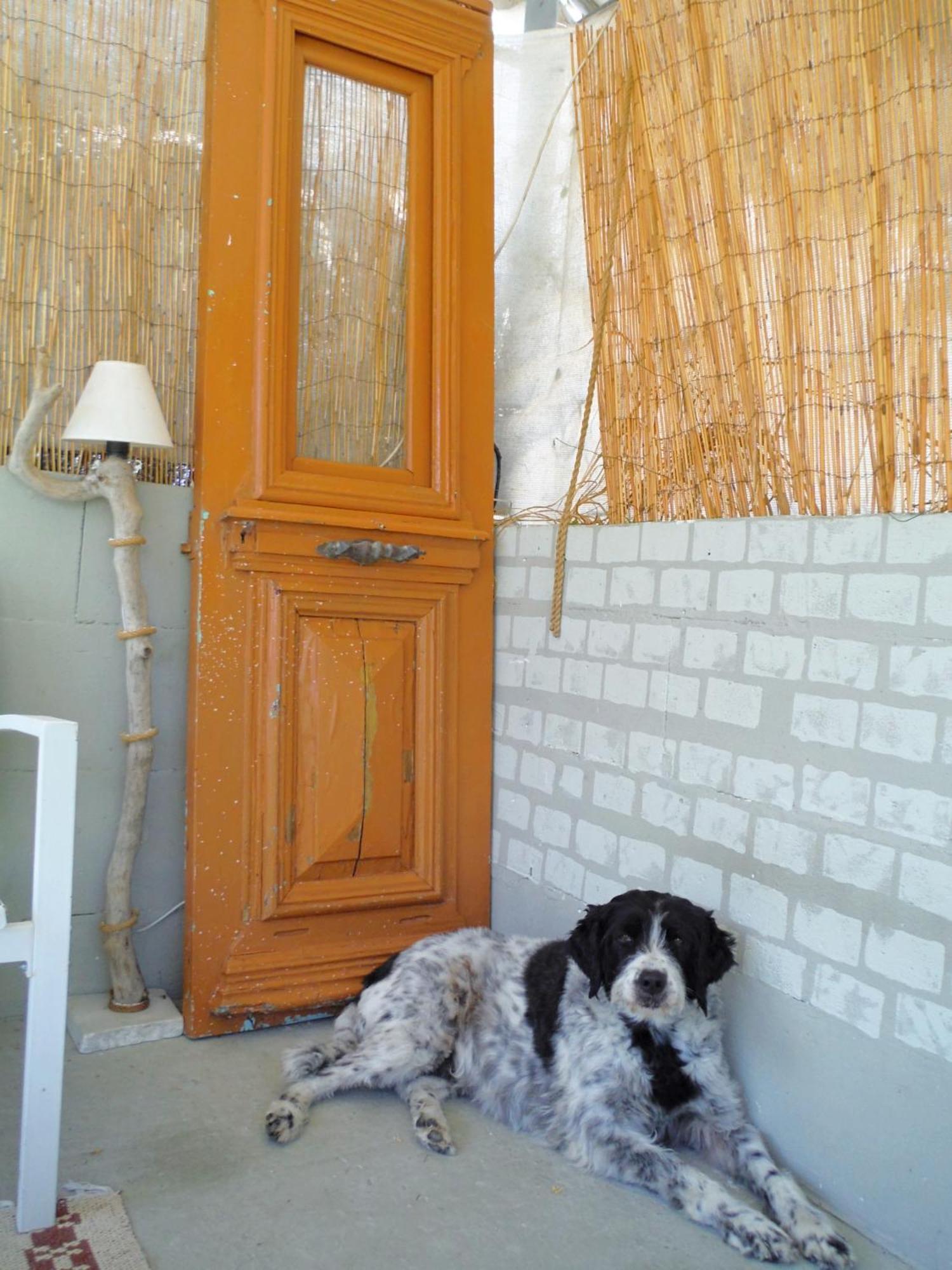 Port Rooms Limenas (Thasos) Exterior foto