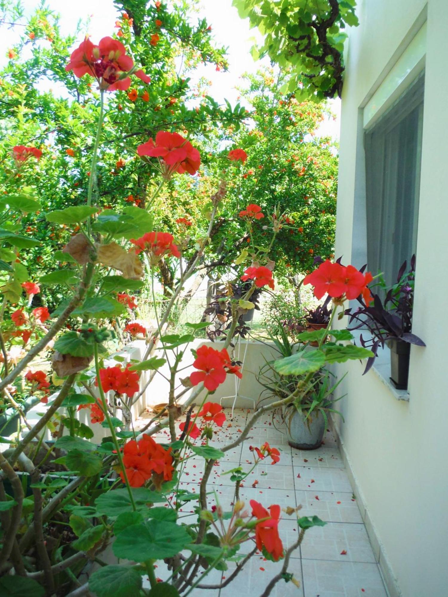 Port Rooms Limenas (Thasos) Exterior foto