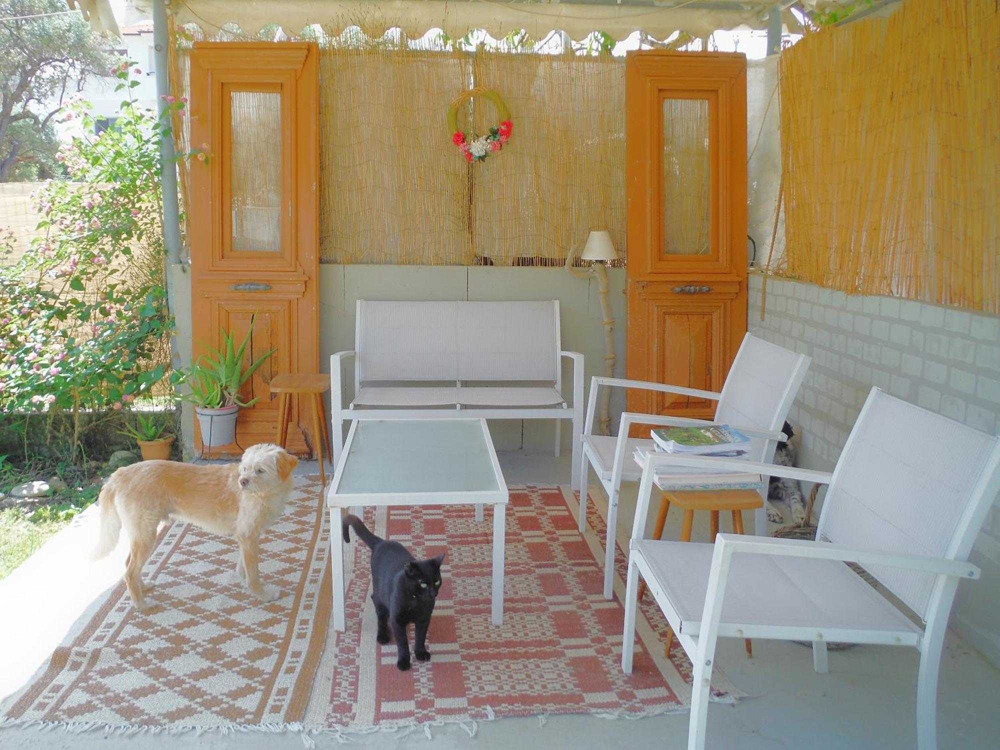 Port Rooms Limenas (Thasos) Exterior foto